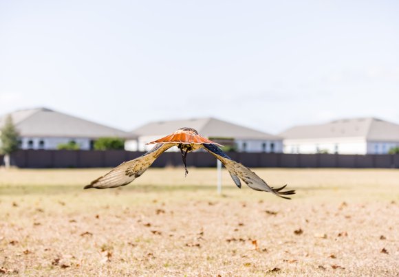 Â© Candid Memories By Ken Frazier