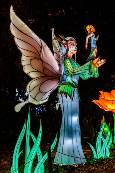 Â© Candid Memories By Ken Frazier