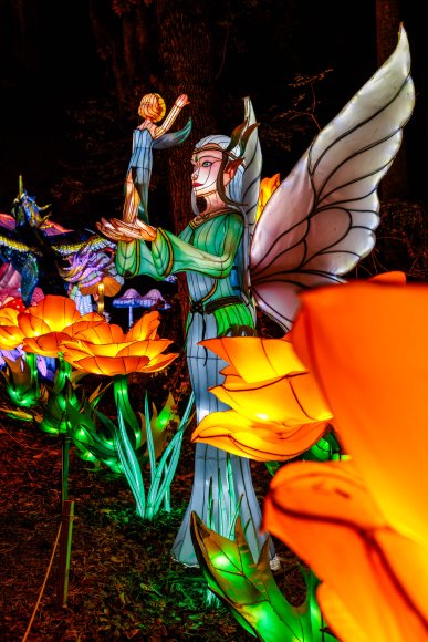 Â© Candid Memories By Ken Frazier