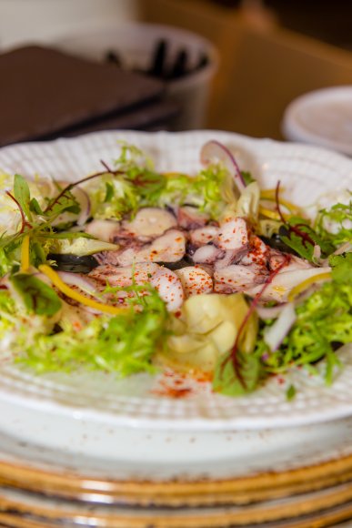 ©2018 Candid Memories By Ken Frazier