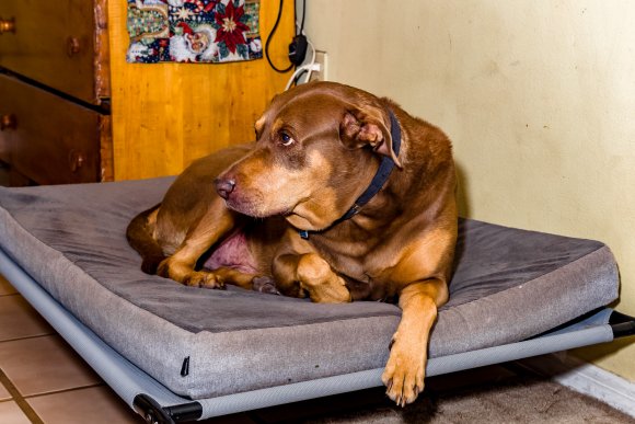 © Candid Memories By Ken Frazier