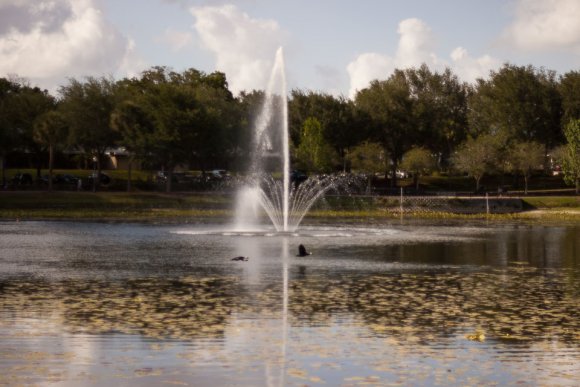 2012-05-01_0006