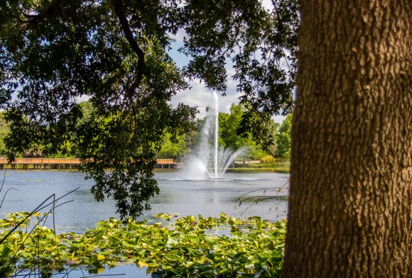 ©2019 Candid Memories By Ken Frazier