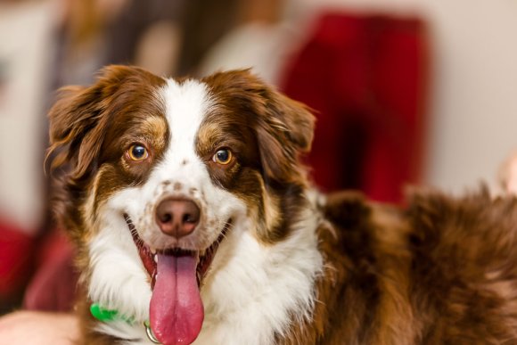 Â© Candid Memories By Ken Frazier