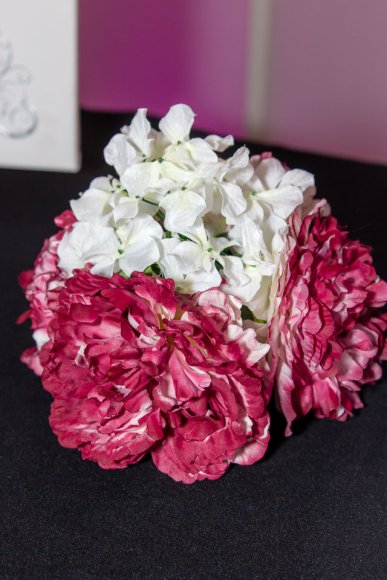 ©2017 Candid Memories By Ken Frazier