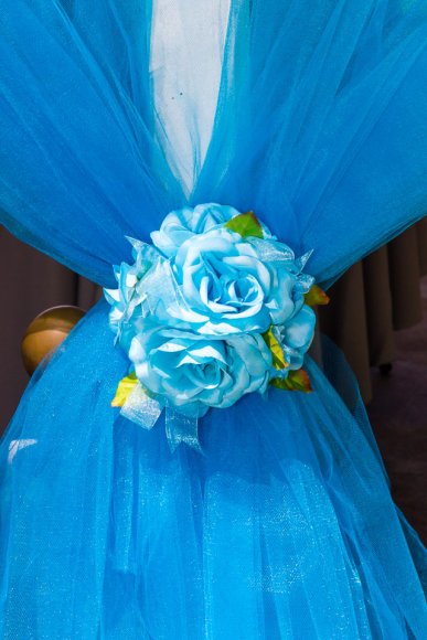 ©2017 Candid Memories By Ken Frazier