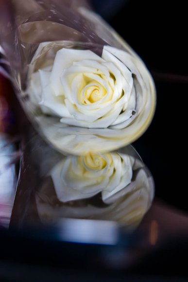 ©2018 Candid Memories By Ken Frazier