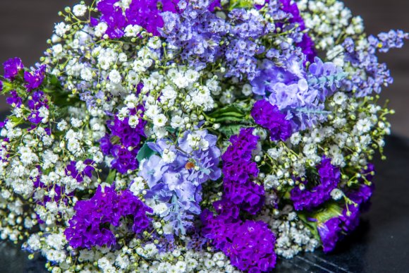 ©2019 Candid Memories By Ken Frazier