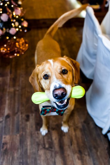 © Candid Memories By Ken Frazier