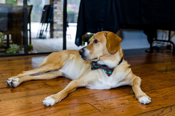 © Candid Memories By Ken Frazier