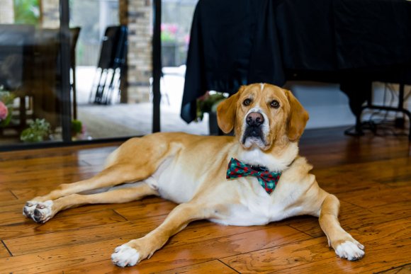 © Candid Memories By Ken Frazier