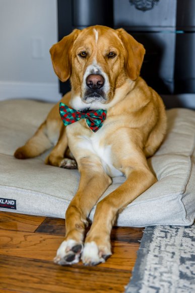 © Candid Memories By Ken Frazier