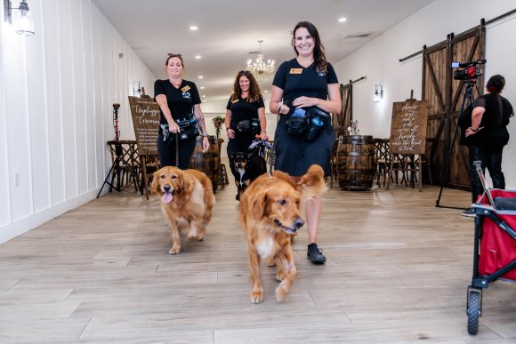 Â© Candid Memories By Ken Frazier