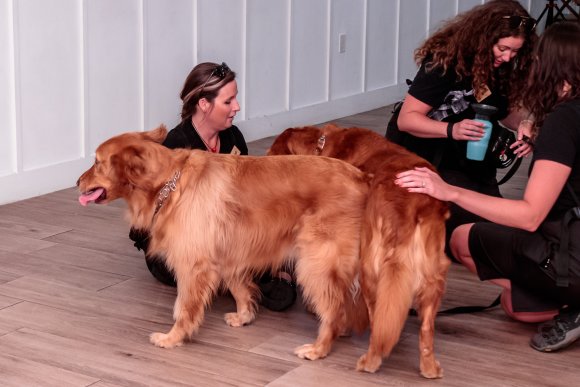 Â© Candid Memories By Ken Frazier