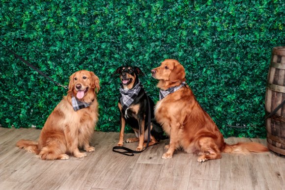 Â© Candid Memories By Ken Frazier