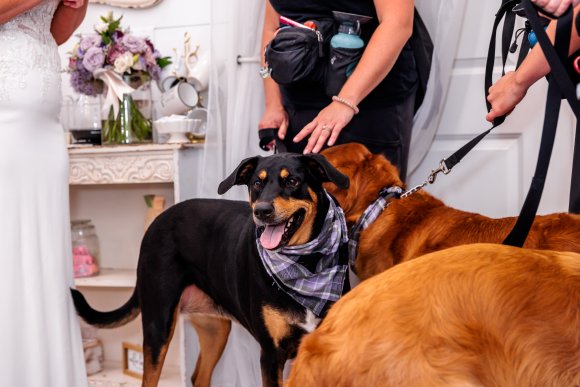 Â© Candid Memories By Ken Frazier